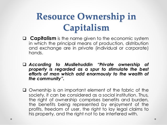 The Concept of Capitalism